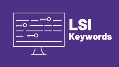 کلمه کلیدی lsi چیست؟ و چه کاربردی دارد؟-امیرحسین علیاری